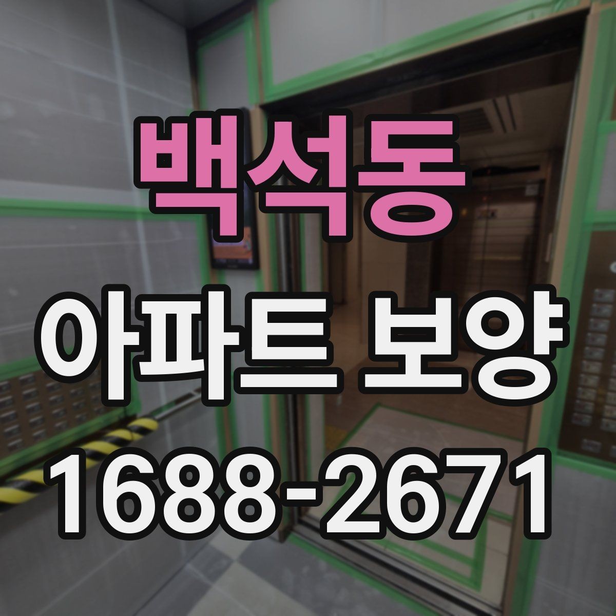 백석동 아파트 보양 상태에 따라 달라지는 대응