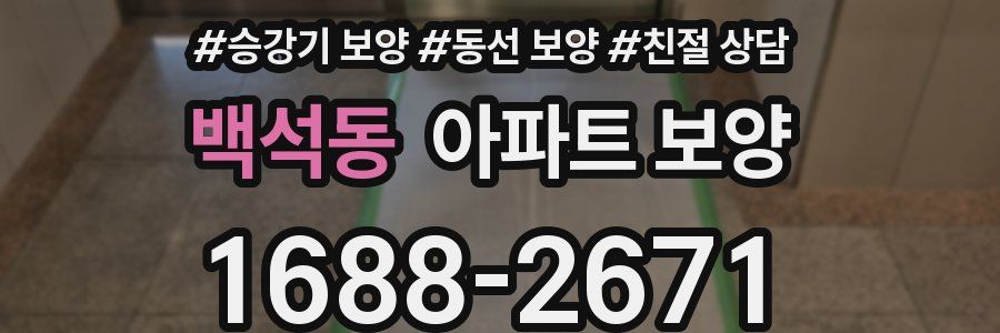 백석동 아파트 보양