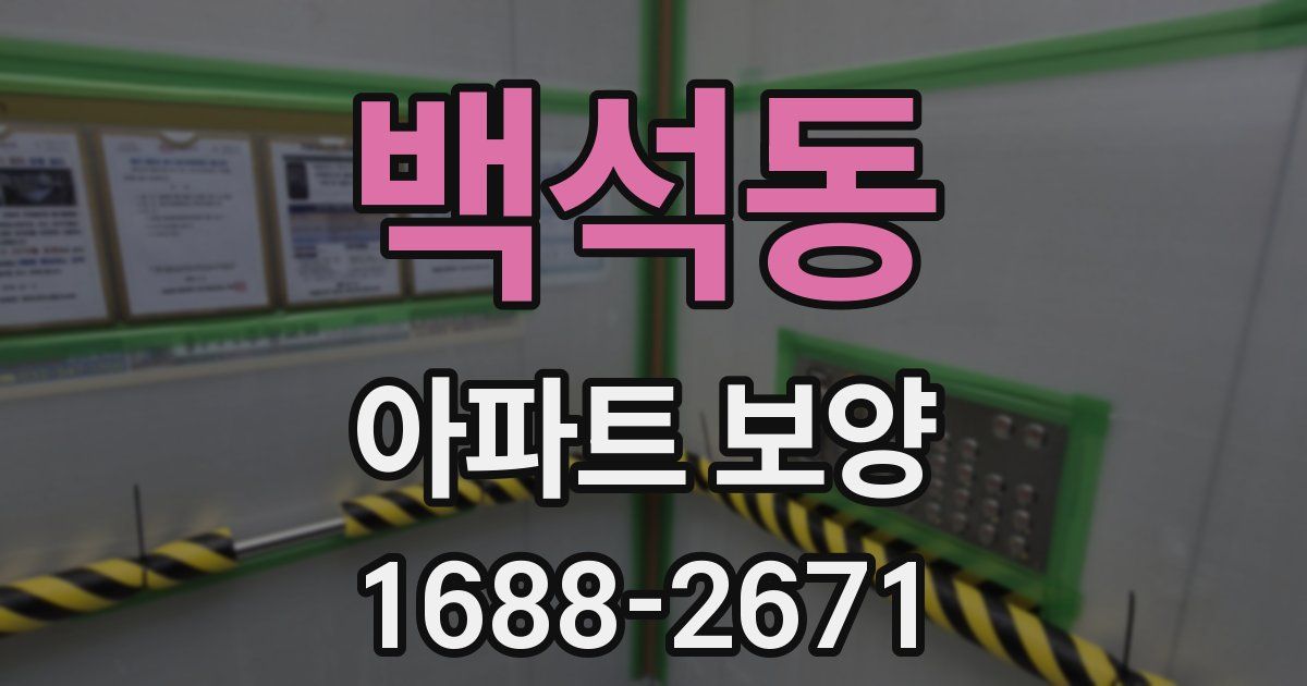 백석동 아파트 보양
