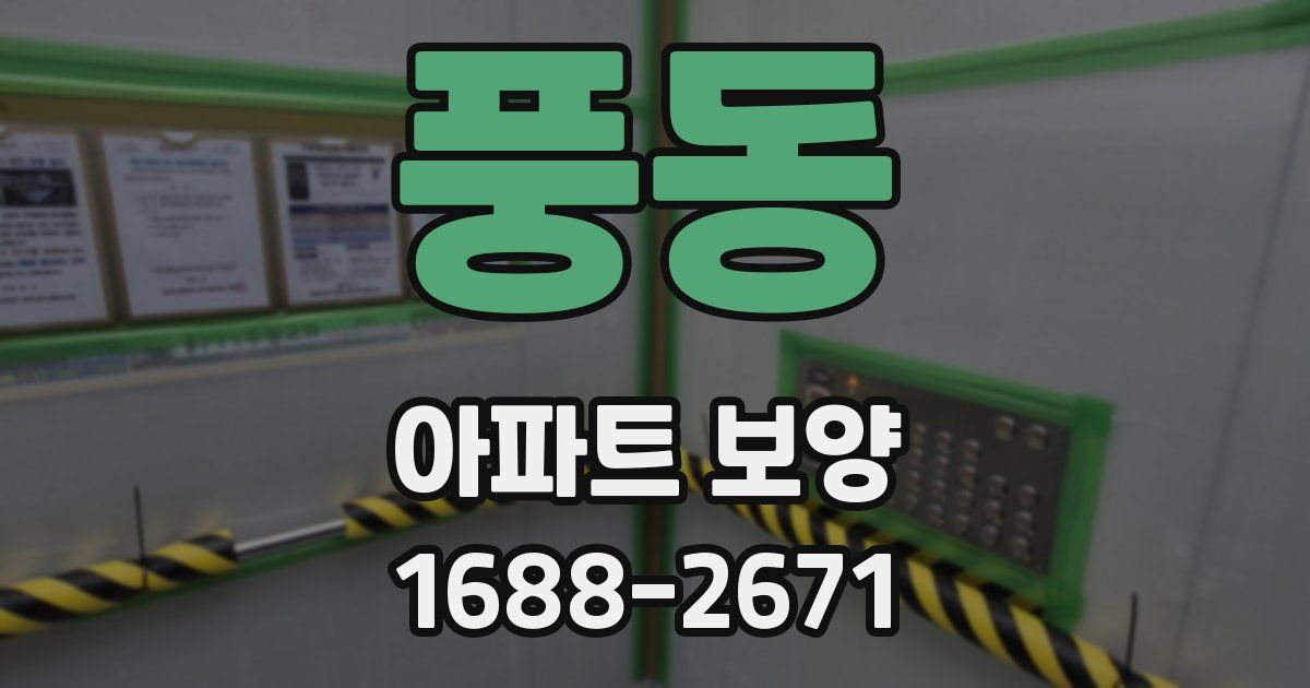 풍동 아파트 보양