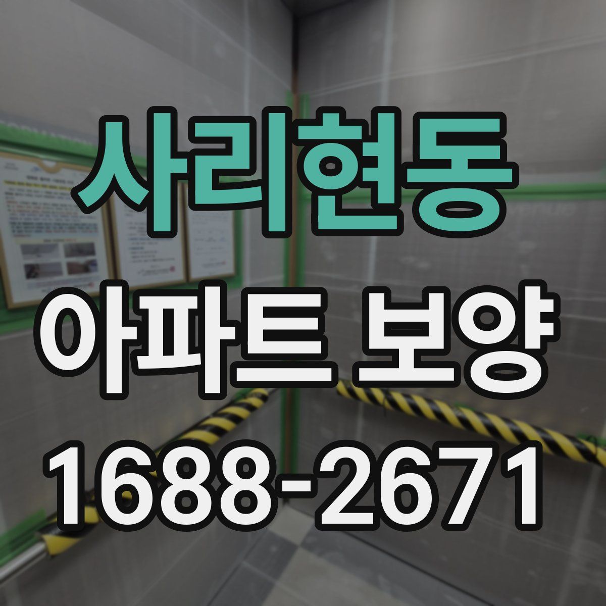 사리현동 아파트 보양