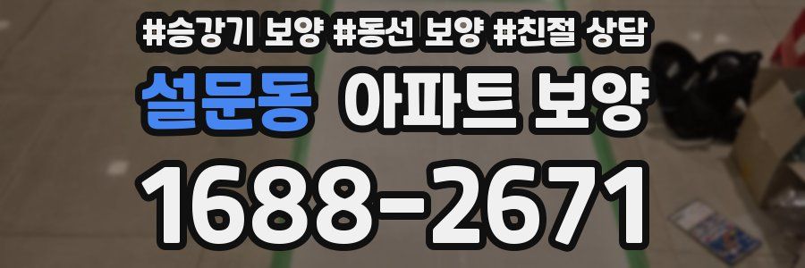 설문동 아파트 보양