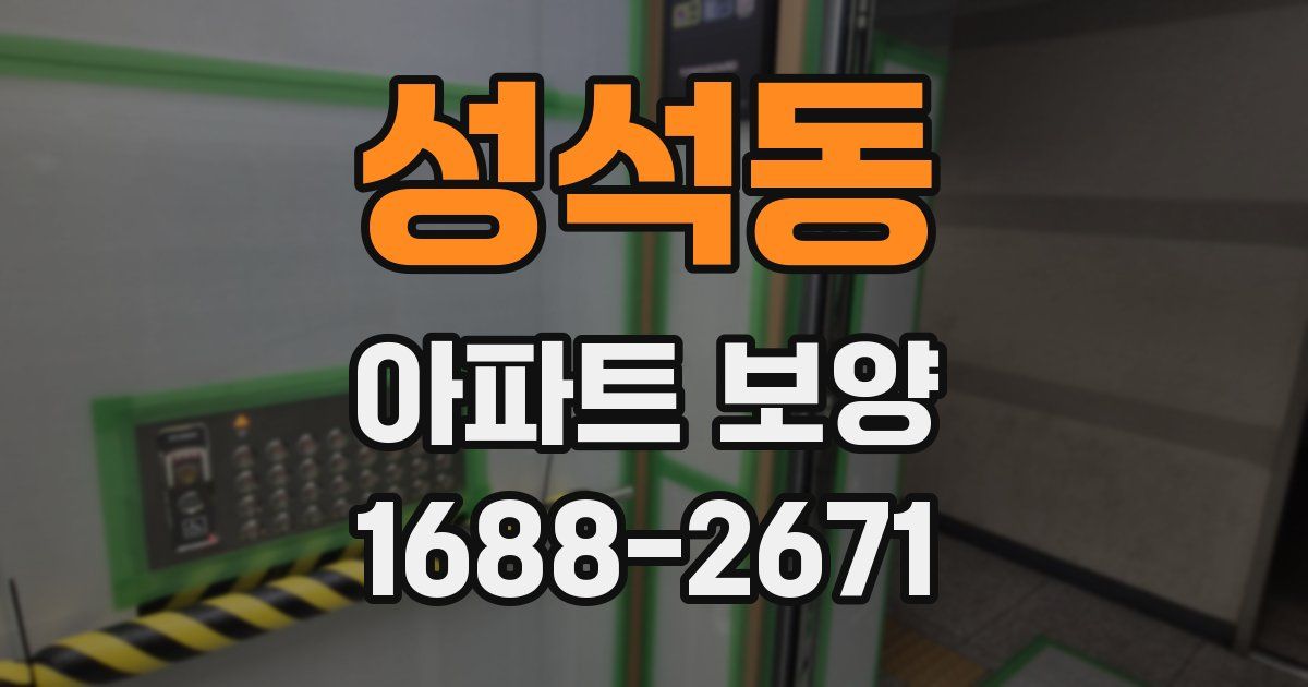 성석동 아파트 보양