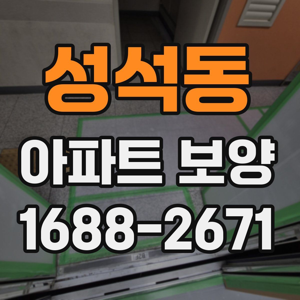 성석동 아파트 보양