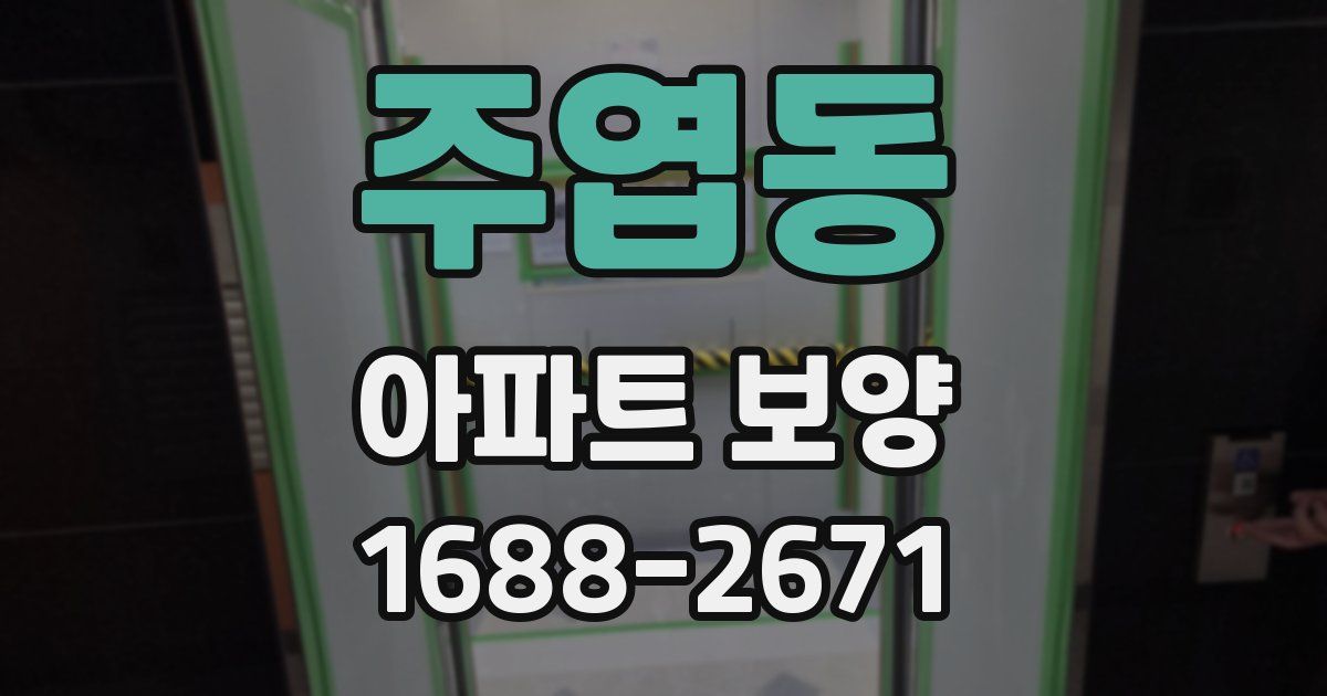주엽동 아파트 보양