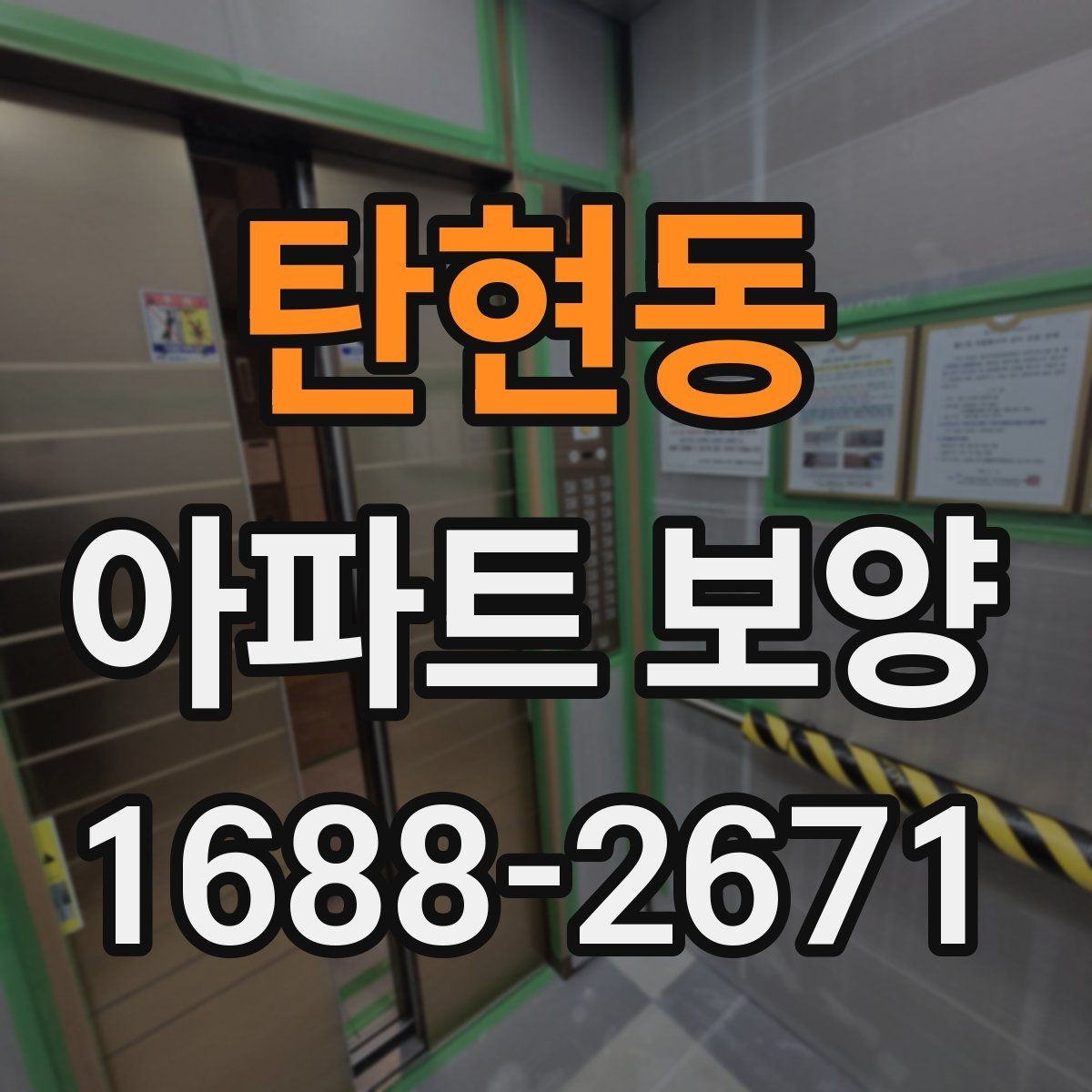 탄현동 아파트 보양 비용이 달라지는 이유