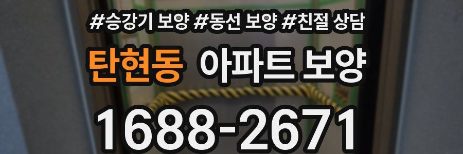 탄현동 아파트 보양