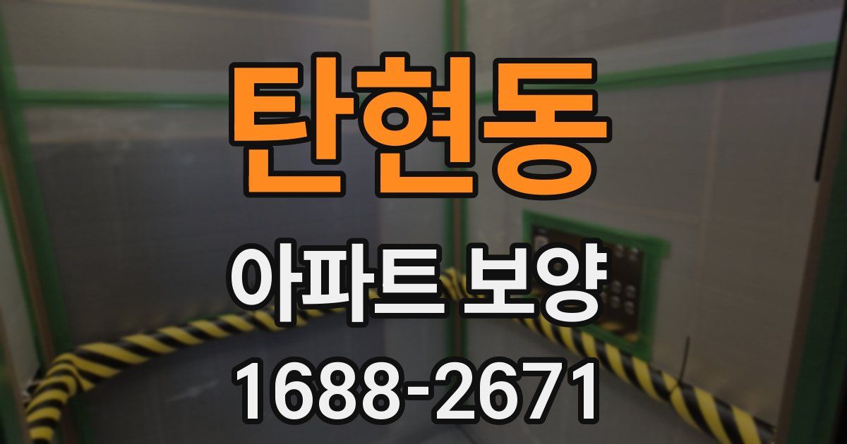 탄현동 아파트 보양