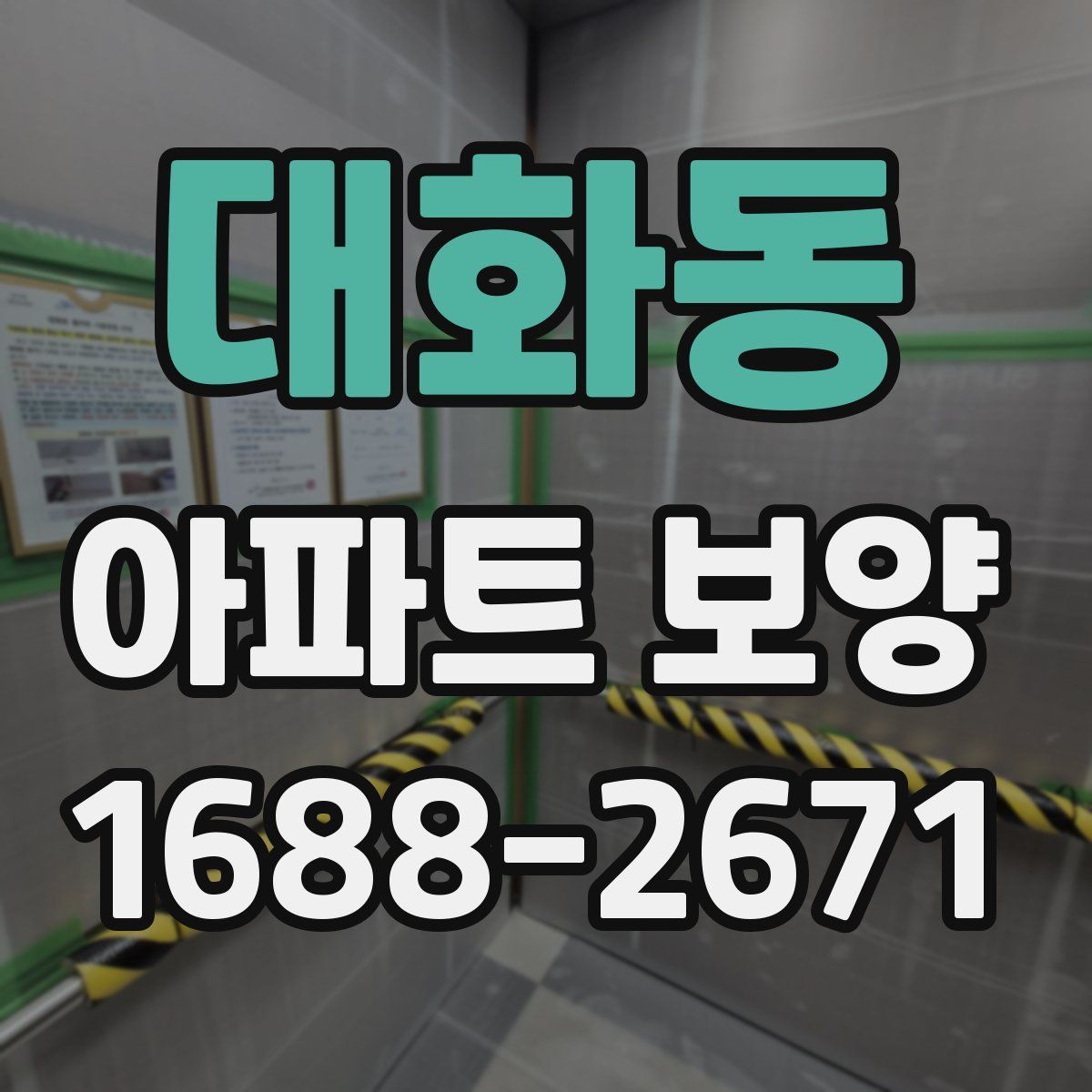 대화동 아파트 보양