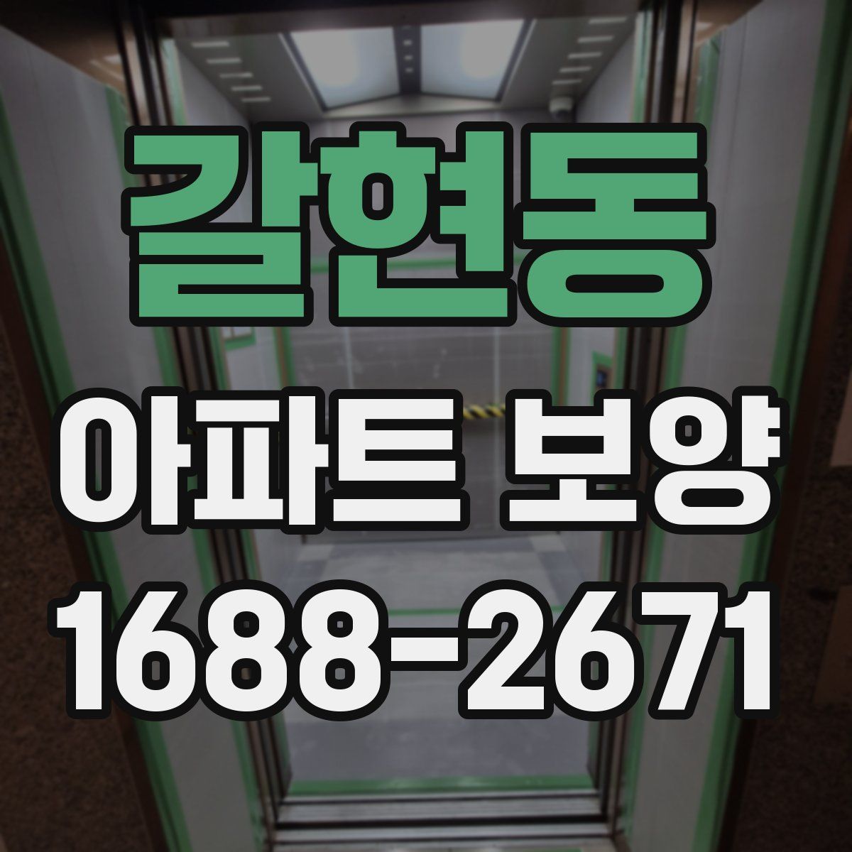 갈현동 아파트 보양