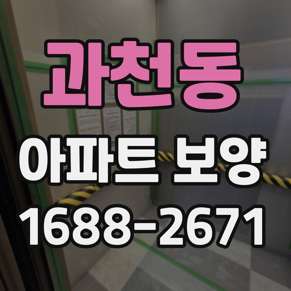 과천동 아파트 보양