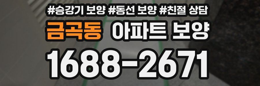 금곡동 아파트 보양
