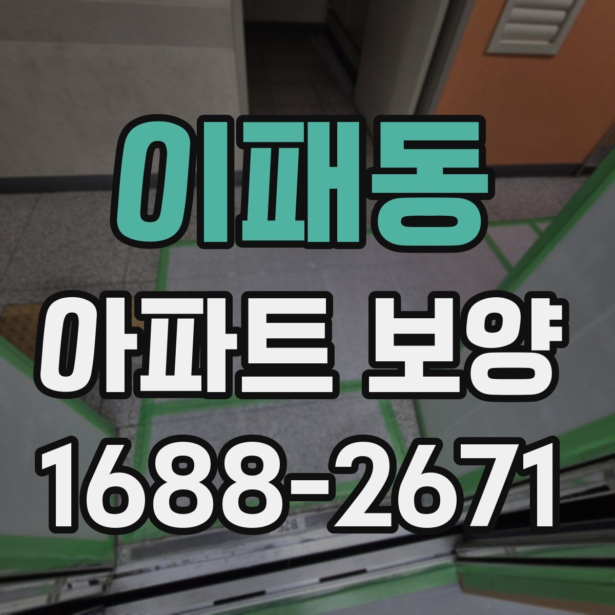 이패동 아파트 보양