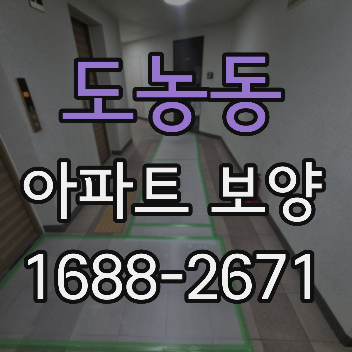 도농동 아파트 보양