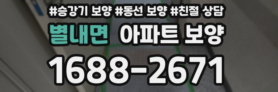 별내면 아파트 보양