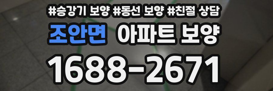 조안면 아파트 보양