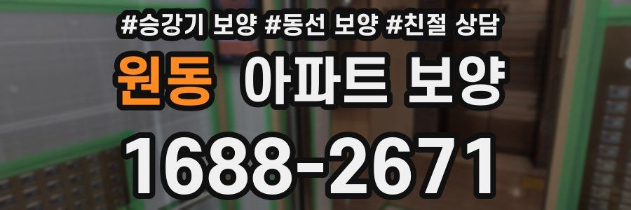 원동 아파트 보양