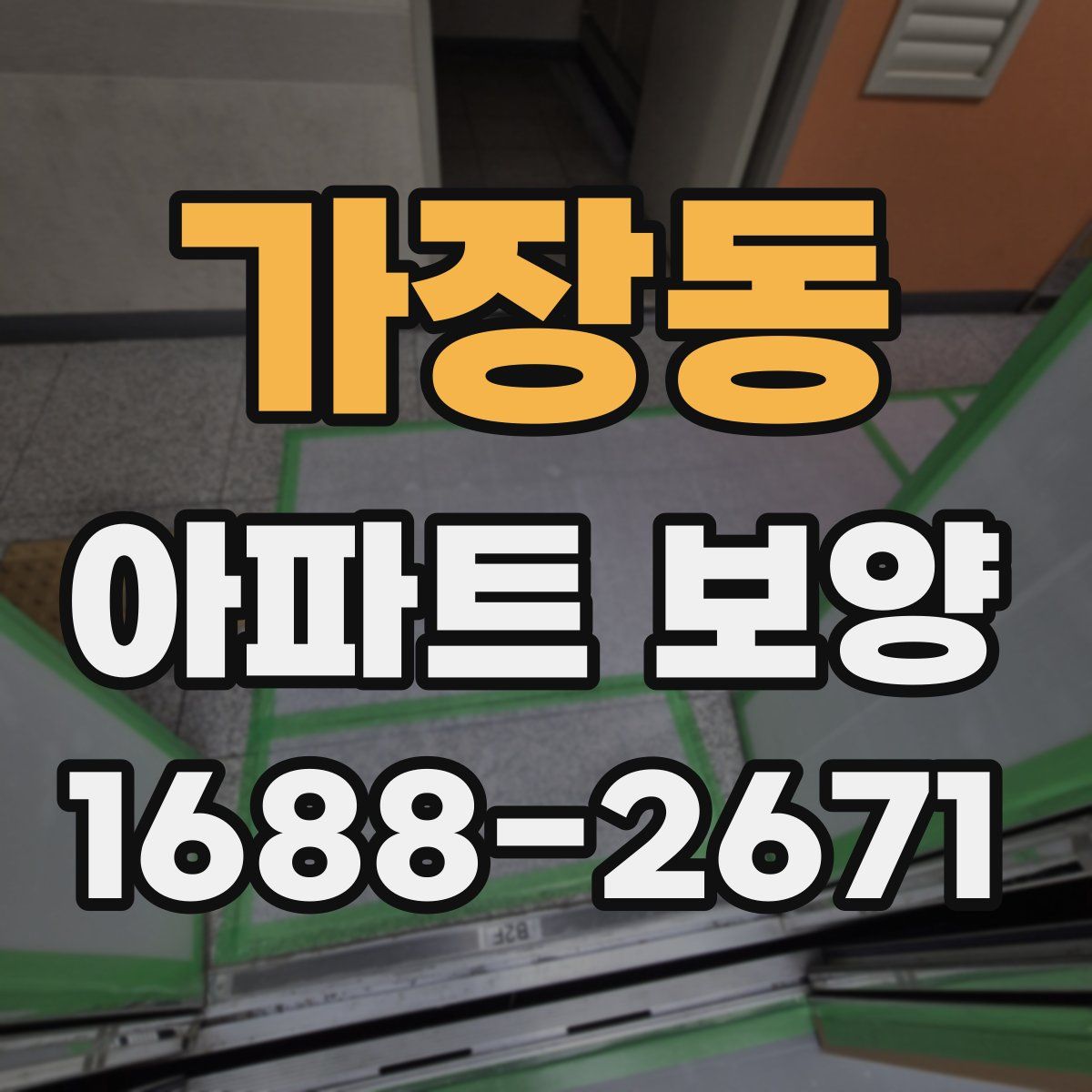 가장동 아파트 보양