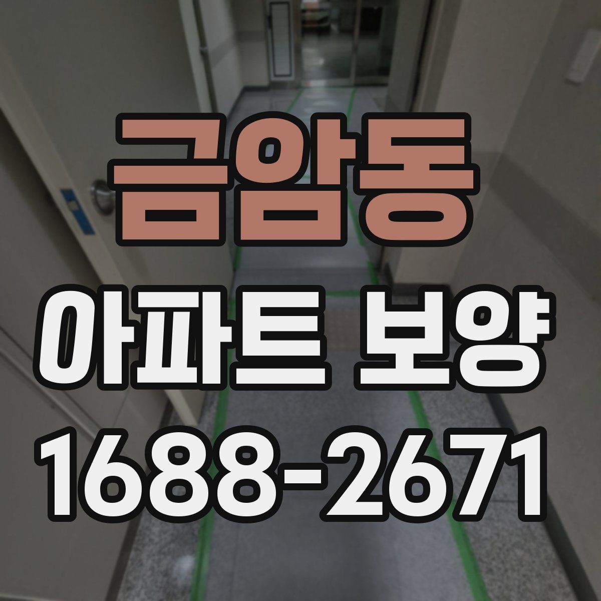 금암동 아파트 보양