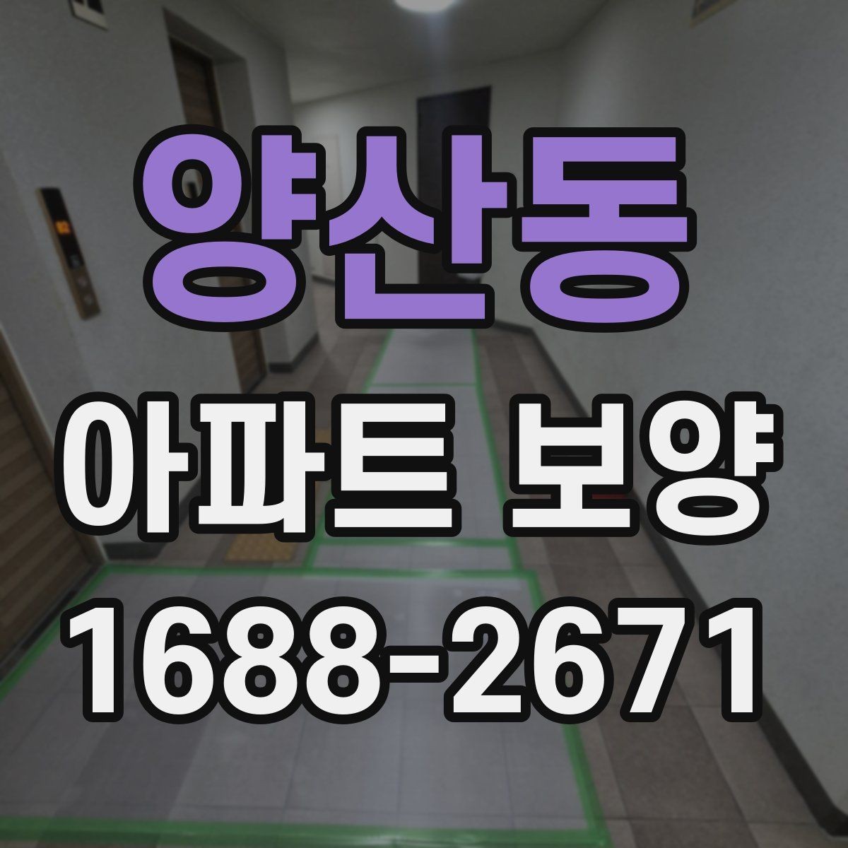양산동 아파트 보양 자재 선택 기준과 활용 방법