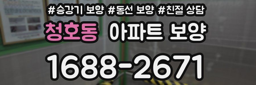 청호동 아파트 보양