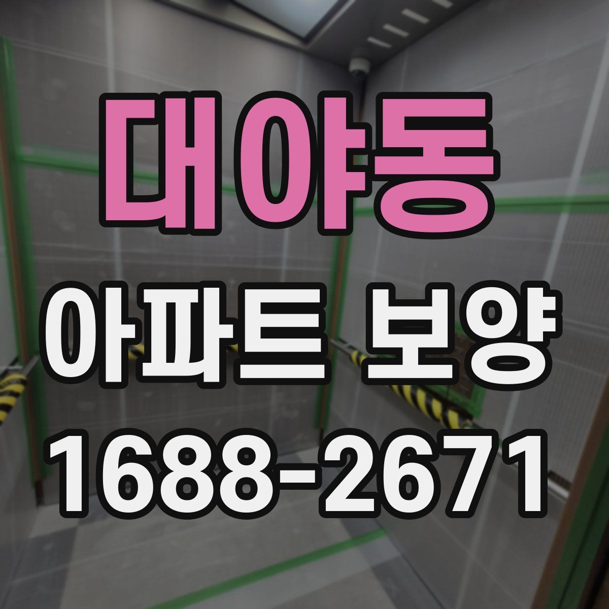 대야동 아파트 보양