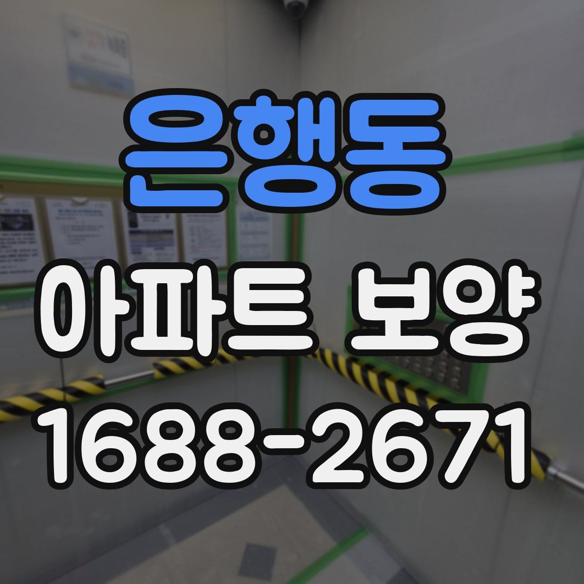 은행동 아파트 보양
