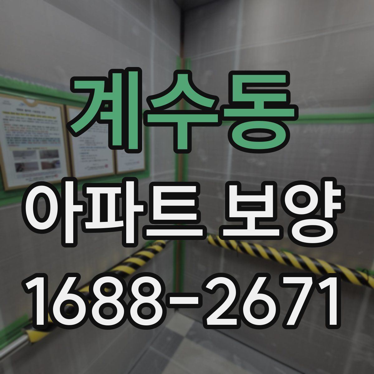 계수동 아파트 보양