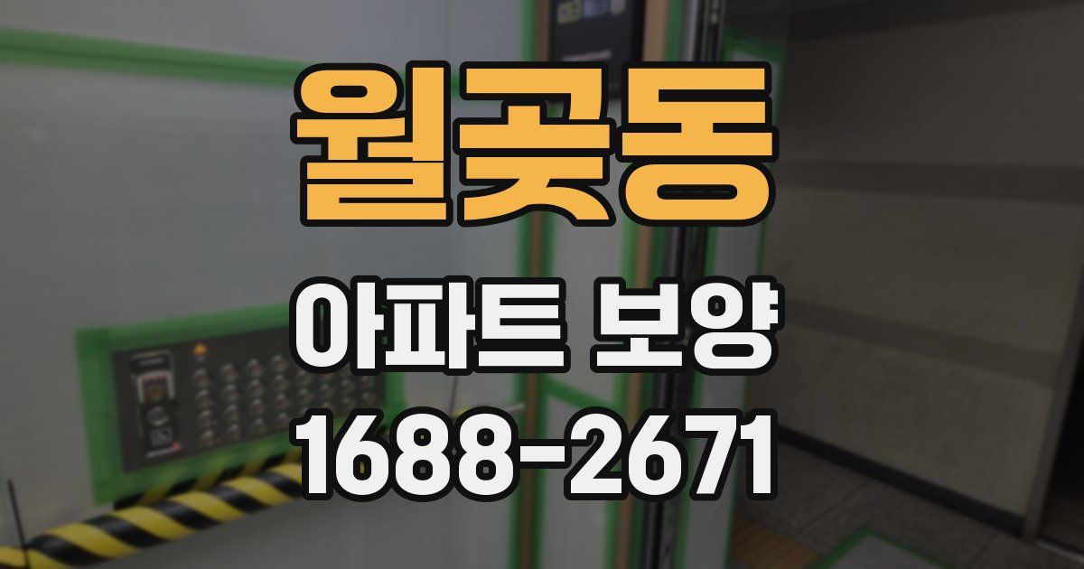 월곶동 아파트 보양