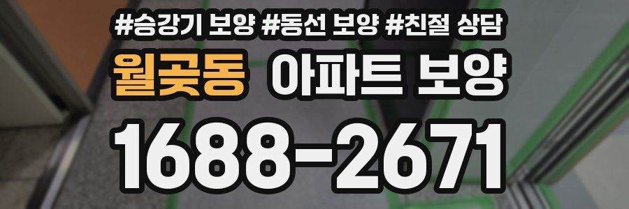 월곶동 아파트 보양