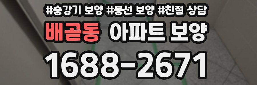 배곧동 아파트 보양