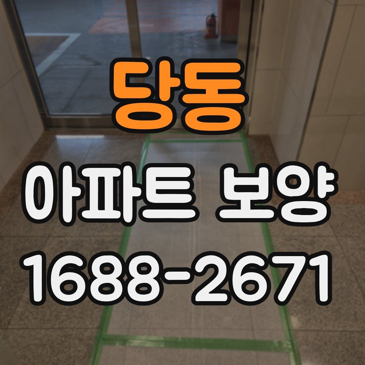 당동 아파트 보양 현장 사진으로 보는 진행 과정