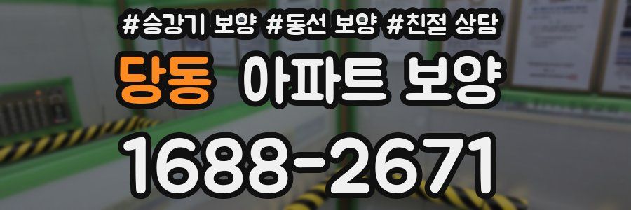 당동 아파트 보양