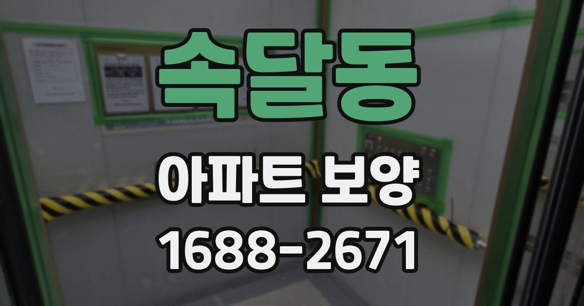 속달동 아파트 보양