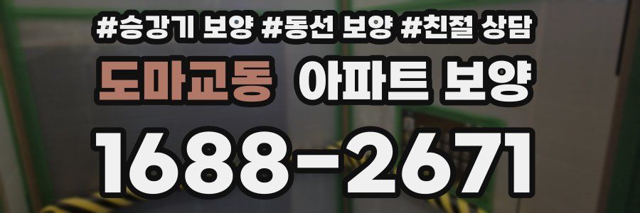 도마교동 아파트 보양