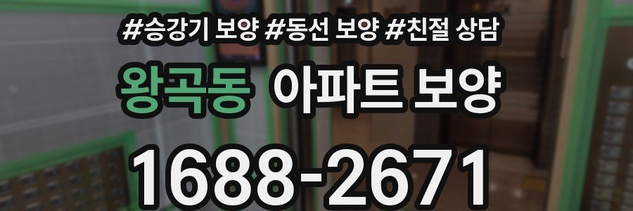왕곡동 아파트 보양