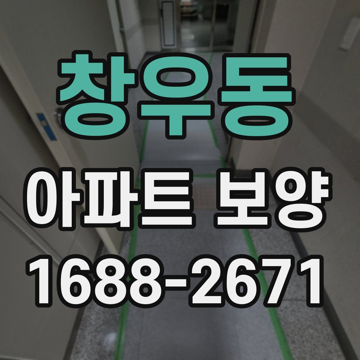 창우동 아파트 보양