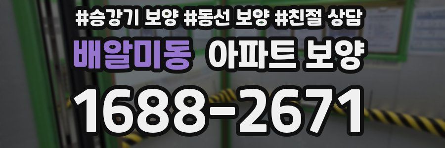배알미동 아파트 보양