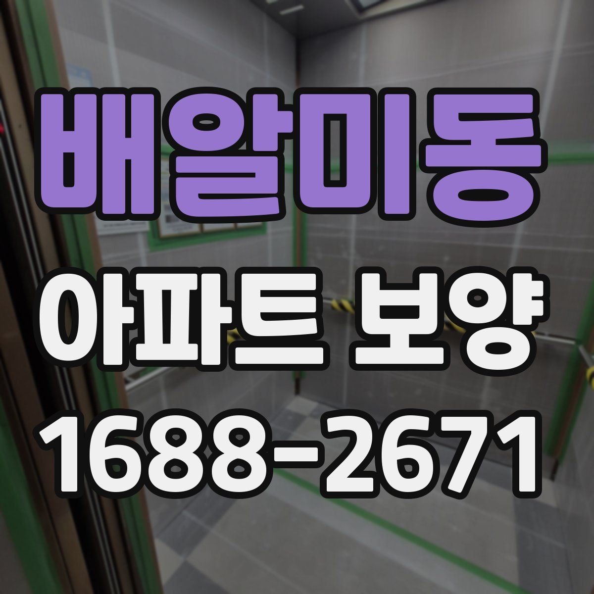 배알미동 아파트 보양