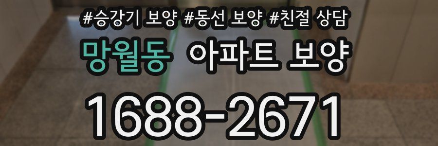 망월동 아파트 보양