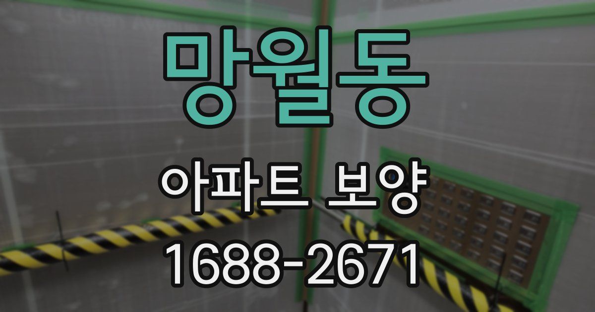 망월동 아파트 보양