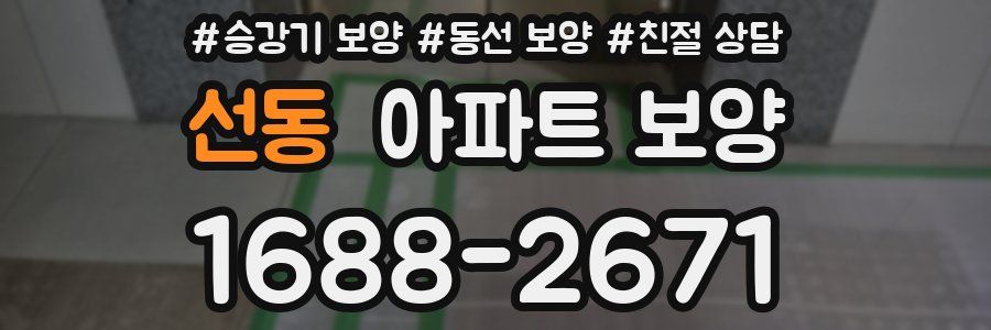선동 아파트 보양