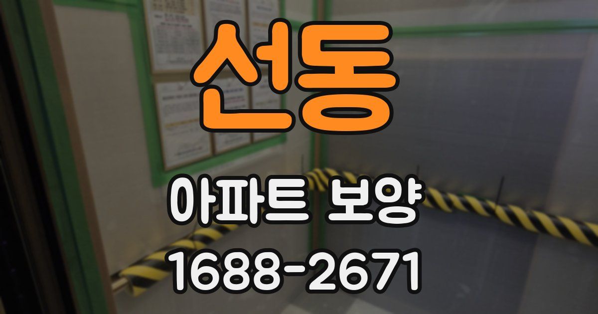선동 아파트 보양