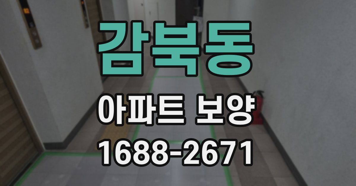 감북동 아파트 보양