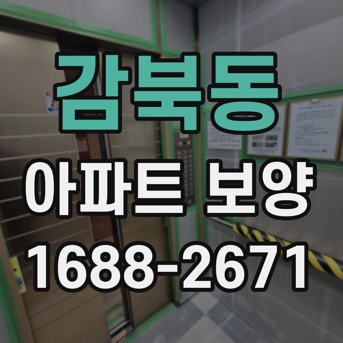 감북동 아파트 보양