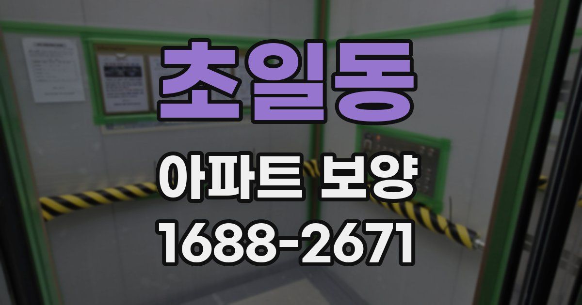 초일동 아파트 보양