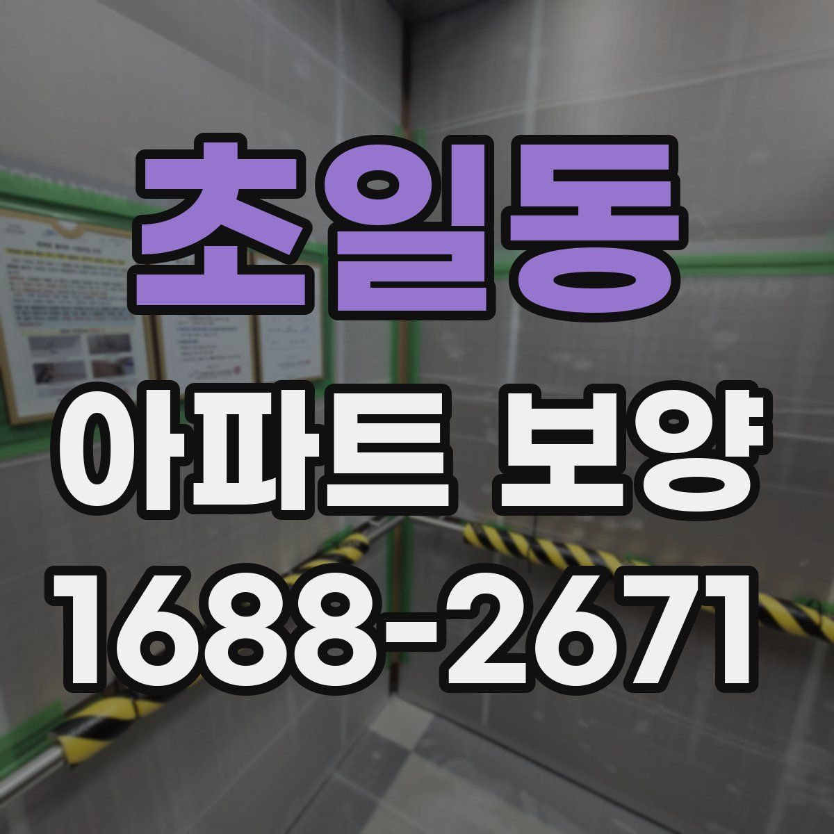 초일동 아파트 보양
