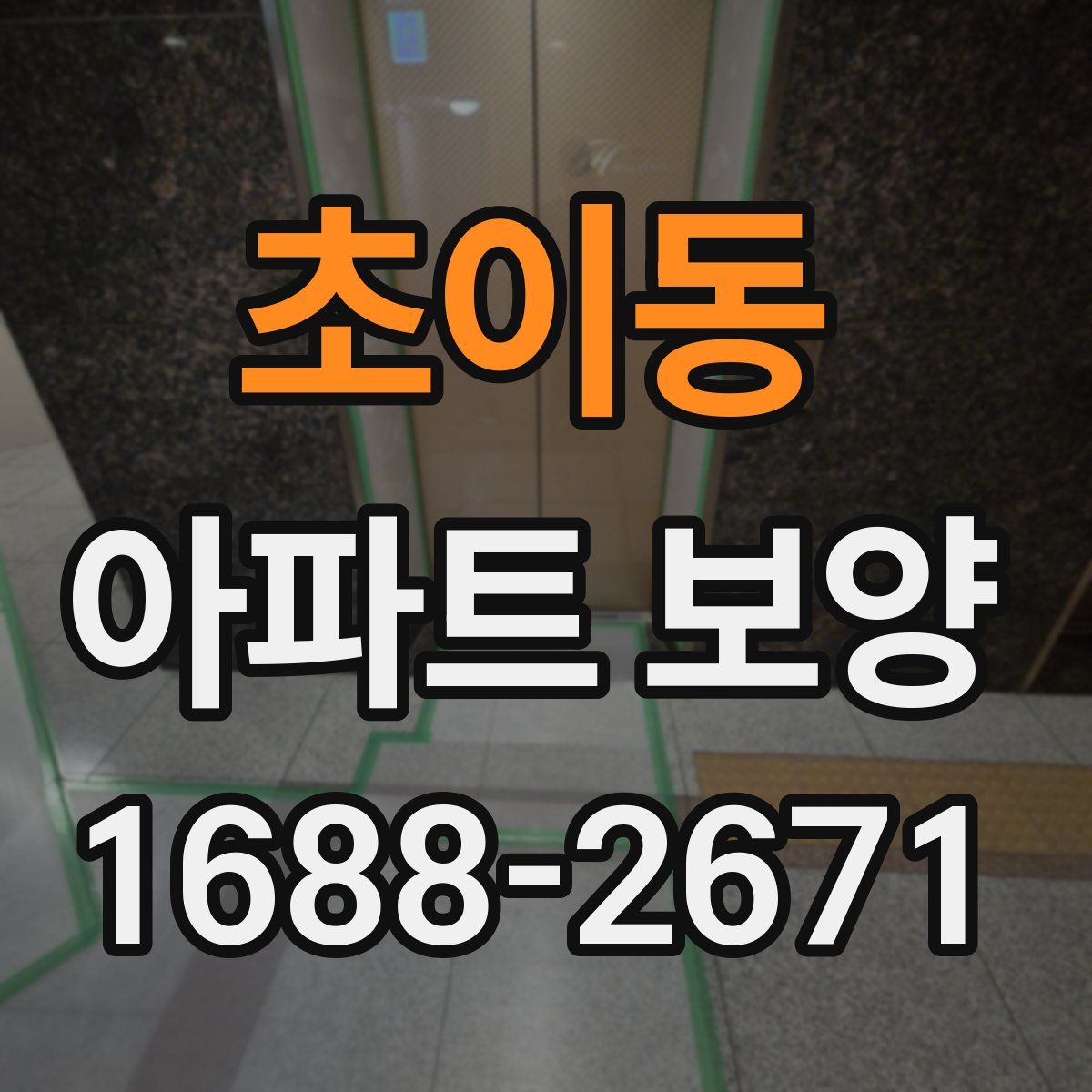 초이동 아파트 보양