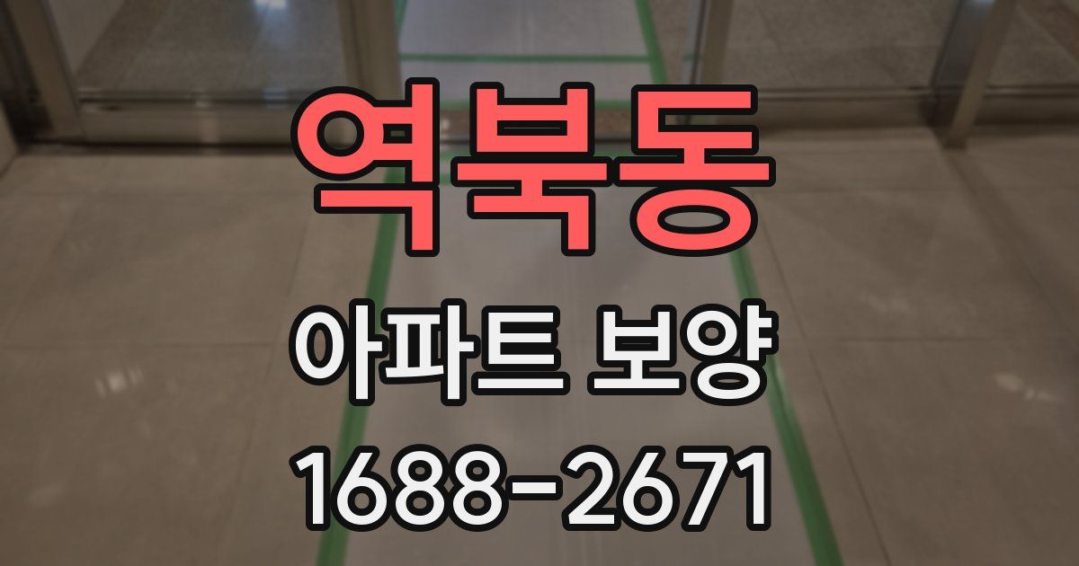 역북동 아파트 보양