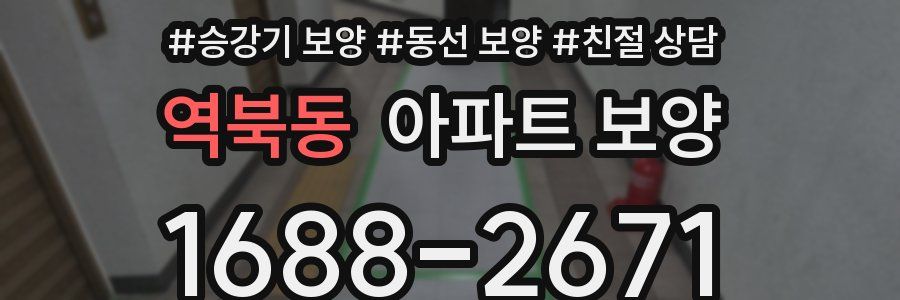 역북동 아파트 보양